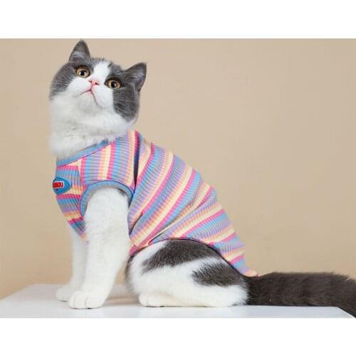 Warm Cat Clothes Autumn Winter Pet Clothing For Small Cats Dogs Cotton Costumes Soft Kitten Kitty Coat Vest Puppy Outfit