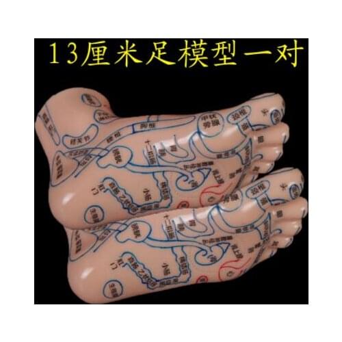 13CM Lettering pvc foot mannequin meridian acupoint reflection area map / medical massage sole point tool teaching 2pc A339