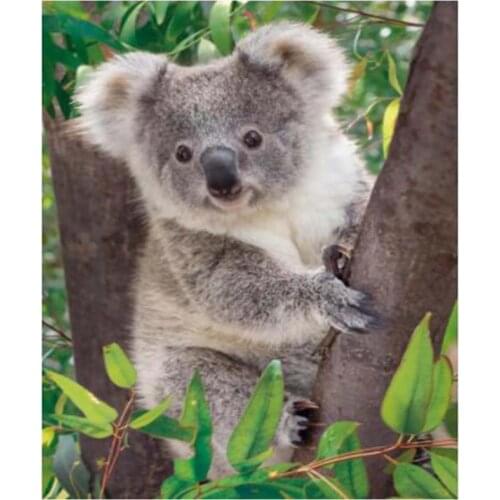5D Diy Full Square/Round Cute Koala On The Tree Cross Stitch Embroidery Diamond Painting Hobby Mosaic Picture Decor XN1075