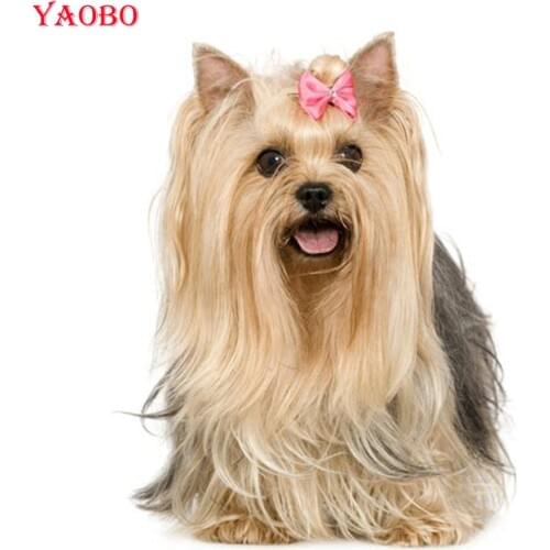 Full Square/Round Drill 5D DIY diamond painting dogs Cute Yorkshire Terrier Mosaic Diamond Embroidery Cross Stitch Home Decor