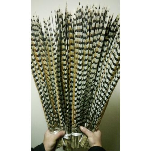 Wholesale perfect 10pcs natural Reevess Pheasant feathers 28-32inch/70-80cm Decorative diy