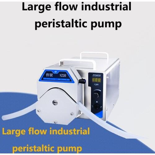 220V High flow Peristaltic Pump Industry Constant Current Dosing Liquid Filling Tools Stainless Steel Metering Pump Equipment