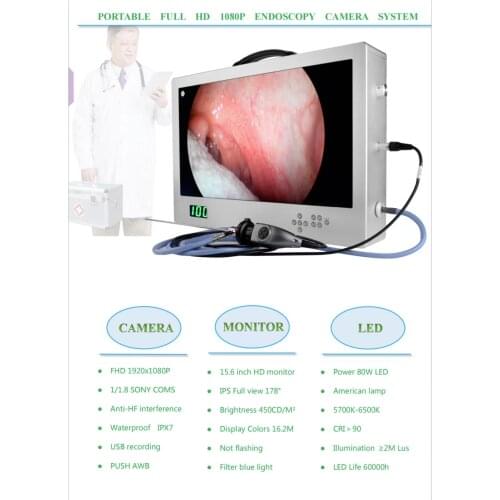 Waterproof 80W Cold Light Source ENT Endoscopy Medical HD CCD Endoscopic Camera