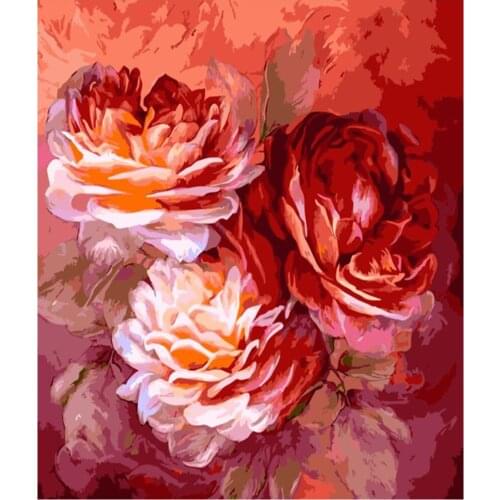 Bright Peony red Flower DIY Digital Painting By Numbers Modern Wall Art Canvas Painting Gift for children Home Decor 40x50cm