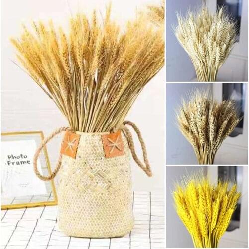 100pcs Dried Wheats Bunch Symbolize the Prosperity New Life Living Room Garden Wedding Hotel Decoration Hot