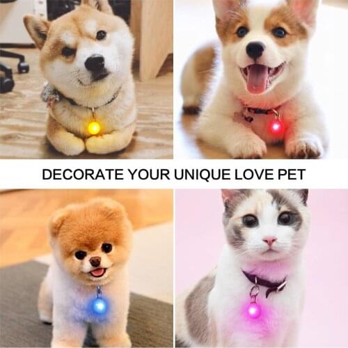 LED Pet Night Safety lamp Dog Cat Collars Glowing Flashing Pendant Indicator light leads lighting Keychain In Dark Decoration