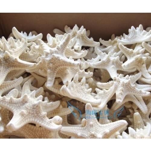 HappyKiss 10pcs/lot natural accessories conch shell props 6-8cm just starfish whlesale freeshipping natural sea star