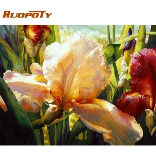 RUOPOTY Painting By Numbers Kits For Adults Lily Flower Paint Photo By Number Home Decoration Living Room Wall Artcraft Diy Gift