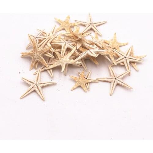 Sea Shells Size:2-3cm 100pcs Mini Starfish Craft Decoration Natural Sea Stars DIY Beach Cottage Wedding Decor Crafts Wedding