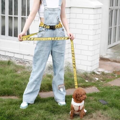 160cm New Adjustable Pet Dog Cat Leash with Waist Belt for Walking Running Training Hands Free Fashion Leash Dog Accessories
