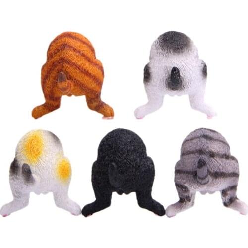 Cat Butt Magnets for Refrigerator Funny Present Set of 5 Magnet Decorations for Office and Home