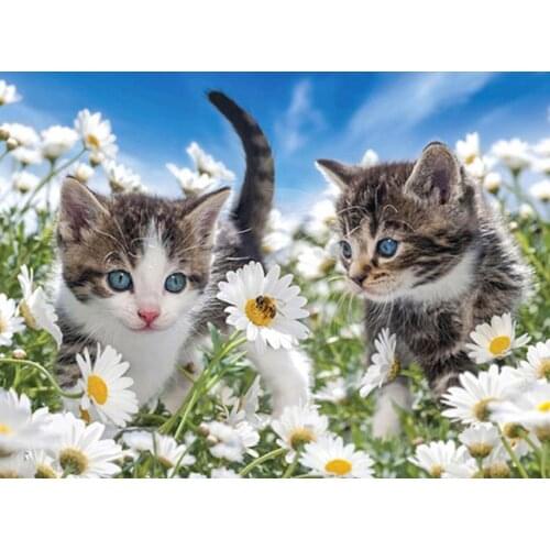 Animals diamond painting full square flower cats mosaic embroidery rhinestone picture puzzle toys drawing wall decor gifts diy