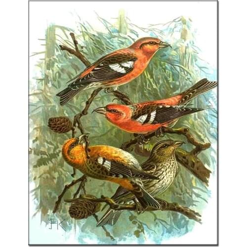 3d diamond embroidery animals 5d diy diamond painting Cross Stitch full drill Rhinestone mosaic birds home decoration gift