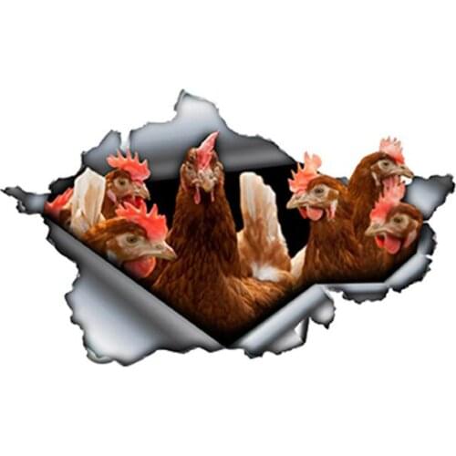 Personality Brown Chickens Car Sticker Torn Decal Reflective Stickers Waterproof Car Styling Farm Decals Apply To Car