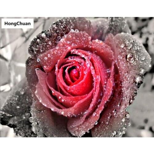 Beautiful Rose 5D DIY Full Square/Round Diamond Painting Diamond Embroidery MuralDiamond CrossStitch Home Decoration Mural Gift