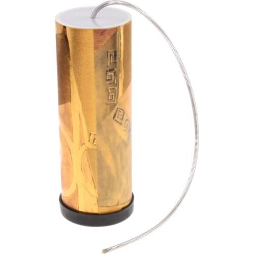 Spring Drum Thunder Tube Thunder Effect for Children Kids Early Educational Toy 21.5x7.5cm