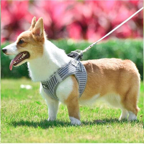 Breathable Dog Harness And Leash Escape Proof Pet Clothes Kitten Puppy Cats Dogs Vest Adjustable Easy Control Reflective Harness