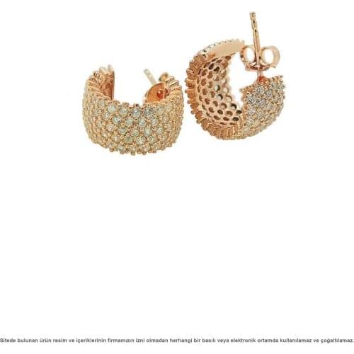 Silver Rose Plated Tamtur Womens Earrings