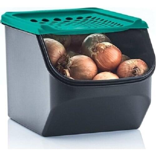 Storage Container, No Odor, Healthy, Tupperware Midi Onion Garlic Storage Container 3 L