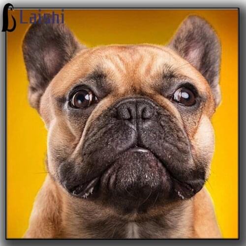 Full,Diamond Embroidery,5D,Diamond Painting French Bulldog Dog Cross Stitch animal dog 3D,Diamond Mosaic patterns,Needlework