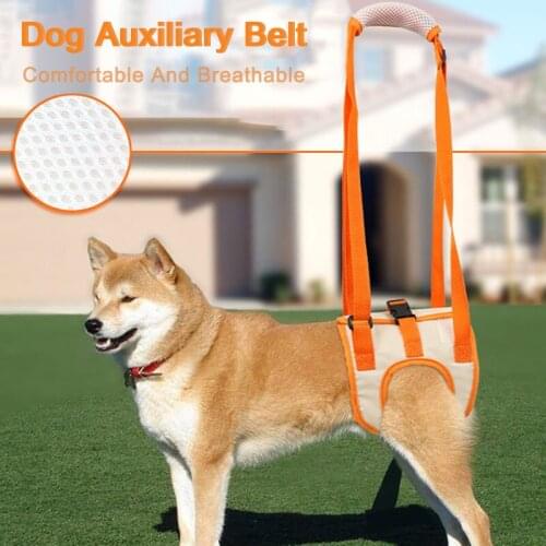 Dog Auxiliary Belt Recovery Disability Pet Leg Dog Collars Accessories for Medium Large Dogs Comfortable Dog Leashs Dropshipping