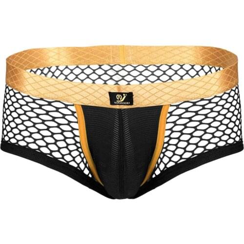 Men Sexy See Through Boxer Briefs Underpants Panties Openwork Mesh Breathable Bikini Underwear Swimwear Swimming Suit