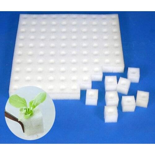 Hydroponic plant stand Nursery grow Pots trays Sponge Garden Cultivation Plant Soilless Culture Planting tools Vegetables o1