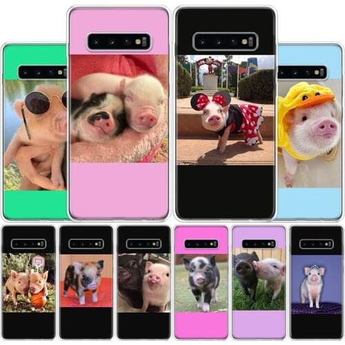Funny Pig aesthetic Cat Phone Case For Samsung Galaxy A51 A71 A50S A30S A10 A20E A40 A70 M30S A01 A21 A6 A7 A8 A9 Plus + Cover