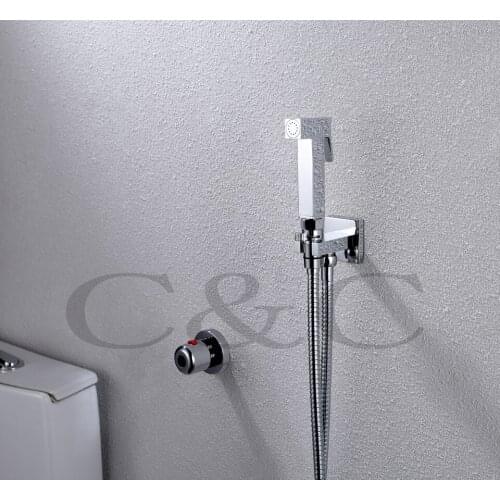 Wall Mounted Portable Bidet Toilet Spray Shower 150 cm Stainless Steel Hose With Thermostatic Faucet Valve A2008D