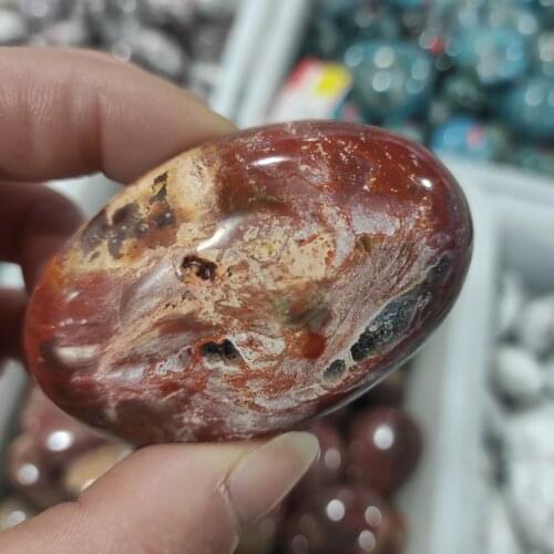 1pcs Natural Petrified Wood Palm Stone Crystal Healing Gem stone Pebble Worry Therapy Irregular Shape