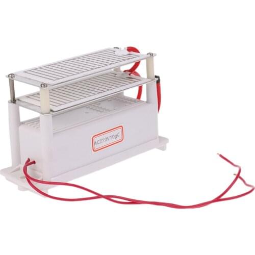Ceramic Ozone Generator 220V 10g/H Double Ceramic Plate Air Purifier Ozonizer