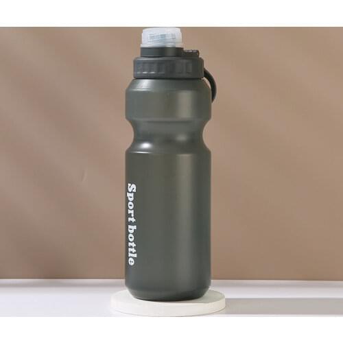 High Quality Hot 500ml/750ml Summer Sports Cycling Camping Readily Space Health Lemon Juice Milk Water Bottle Eco Friendly