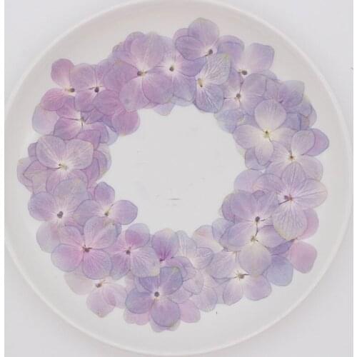 Hydrangea Original Color Pressed Flower For DIY Handmade Material 1Lot/120pcs Wholesale