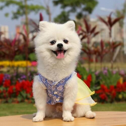 Dog skirt flower print button sealing polyester birthday wedding party Teddy beautiful wedding dress ropa perro