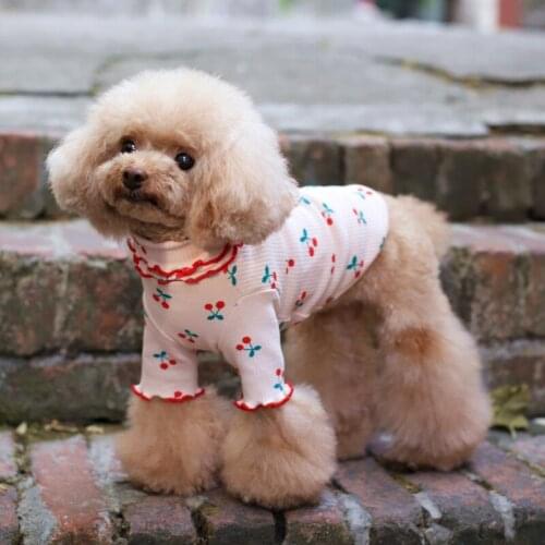 Small Dog T-shirt Summer Dog Clothes Cat Puppy Tee Shirt Yorkshire Corgi Bichon Pomeranian Poodle Schnauzer Pet Clothing Costume