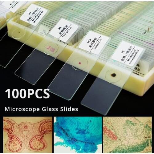 Biological 100pcs Prepared Glass Slice Microscope Slides Educational Specimen with Chinese English Label for School Lab