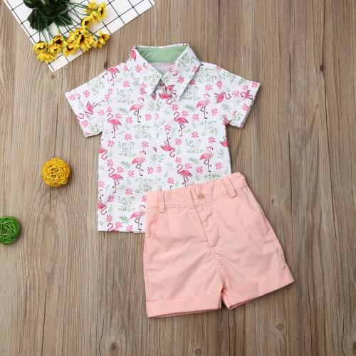 Toddler Kids Baby boy clothes set Summer Clothing Flamingo Shirt Tops Short Bottoms Formal Party 2PCS Sets Outfit Clothes 1-5Y