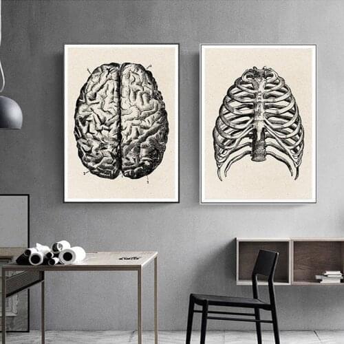 Human Anatomy Artwork Medical Skeleton Vintage Canvas Paintings Posters and Prints Wall Art Picture for Living Room Home Decor