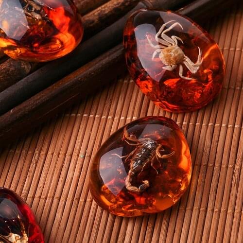 Insects Amber Pendant Decorations Crafts Gift 5 Color Resin Gemstone Clothes Jewellery Necklace Fashion Ornament Originality