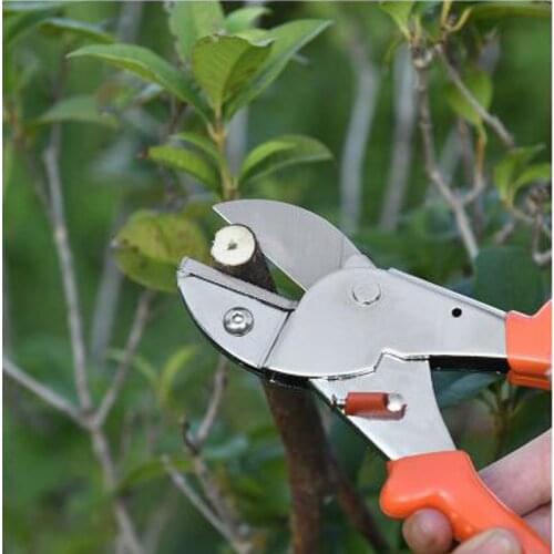 Labor Saving Branch Pruners Fruit Picking Cutting Scissors Grafting Tool Plant Tree Potted Trim Tools Garden Pruner Shears