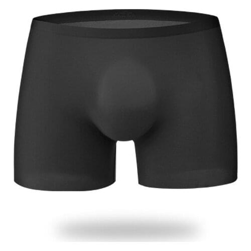 Sexy Gay Underwear Mens Boxers Thin Transparent Ice Silk Panties Man Solid Seamless Pouch Underpants Male Boxershorts Masculina