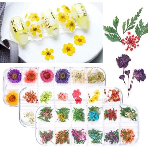 12 Grid Mixed Dried Flower Nail Decoration Jewelry Natural Flower Leaf Sticker DIY Nail Art Design Accessories Tools Wholesale
