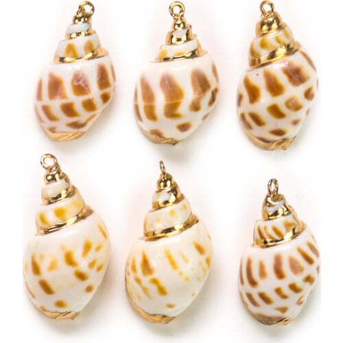 2PC Natural Japanese Babylon Conch Charms Gold Color Plated Spiral Shell for Jewelry Make DIY Bracelets Pendant Crafts Accessory