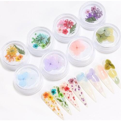 Real Dry Dried Flower for UV Gel Acrylic Nail Art DIY Decoration Manicure