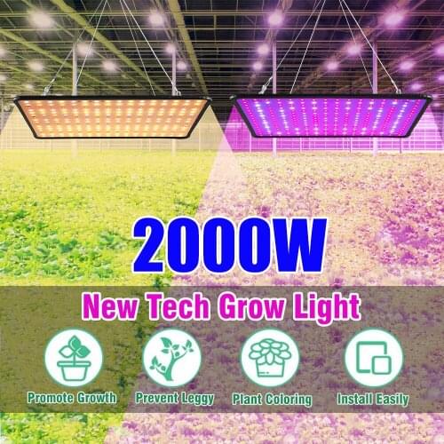 2000W LED Grow Light Plant Growing Lamp Full Spectrum Natural Sunlight Panel Phyto Lamp For Indoor Plants Flower Veg Growth Up