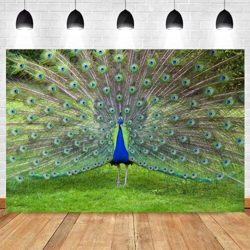 Yeele Birthday Zoo Peacock Feather Grassland Photography Backdrop Gift Photographic Studio Photo Background Decorations Prop