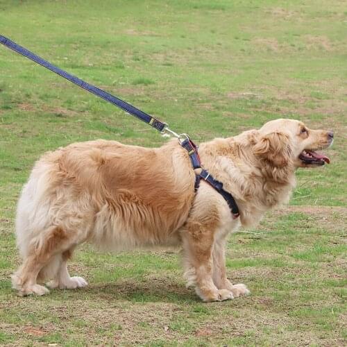 Cowboy Collar And Tow Rope Collars Harnesses Leads Dog Leash Set Things For Dogs Harness No Pull Small Breeds Supplies Big Chest