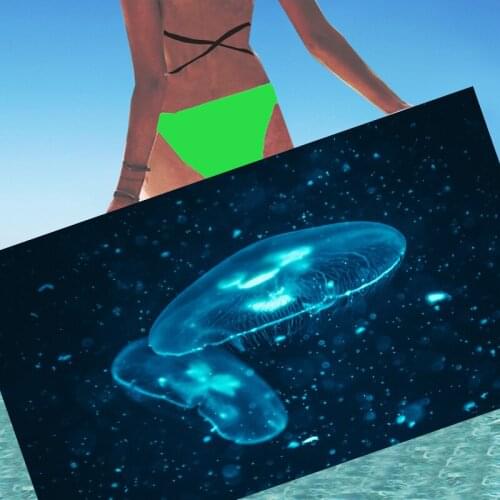 Sea jellyfish beach towel Ocean bath towel Swimming adapted towels Travel shower towel Super towel Quick drying Under 10