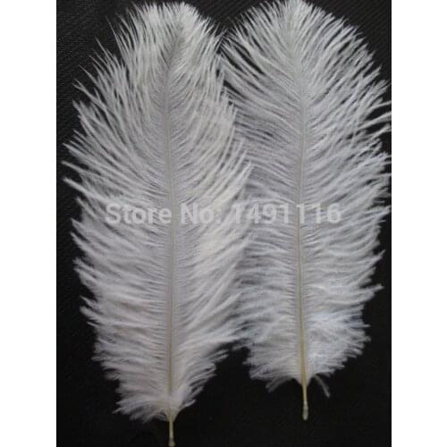 Wholesale 20 pcs quality natural white ostrich feather length 8-10inch / 20-25CM decorative DIY