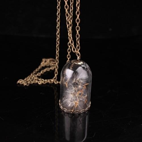 Women Dandelion Necklace Retro Charm Necklace Vintage Dandelion Transparent Dried Flower Necklace Jewelry Necklace